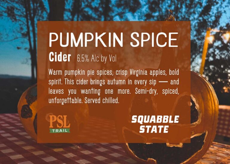 Pumpkin Spice cider 1 768x549